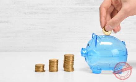 Understanding the different provider approaches to scheme establishment