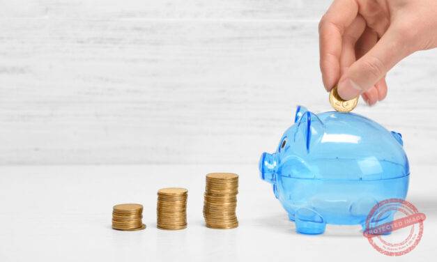 Understanding the different provider approaches to scheme establishment