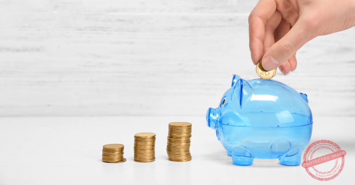 Understanding the different provider approaches to scheme establishment