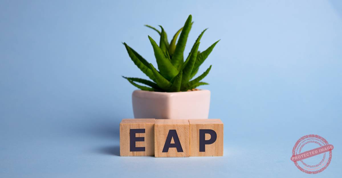 Who offers an Employee Assistance Programme alongside their workplace pension?