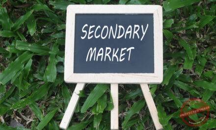 Understanding the way providers operate in the secondary auto-enrolment market